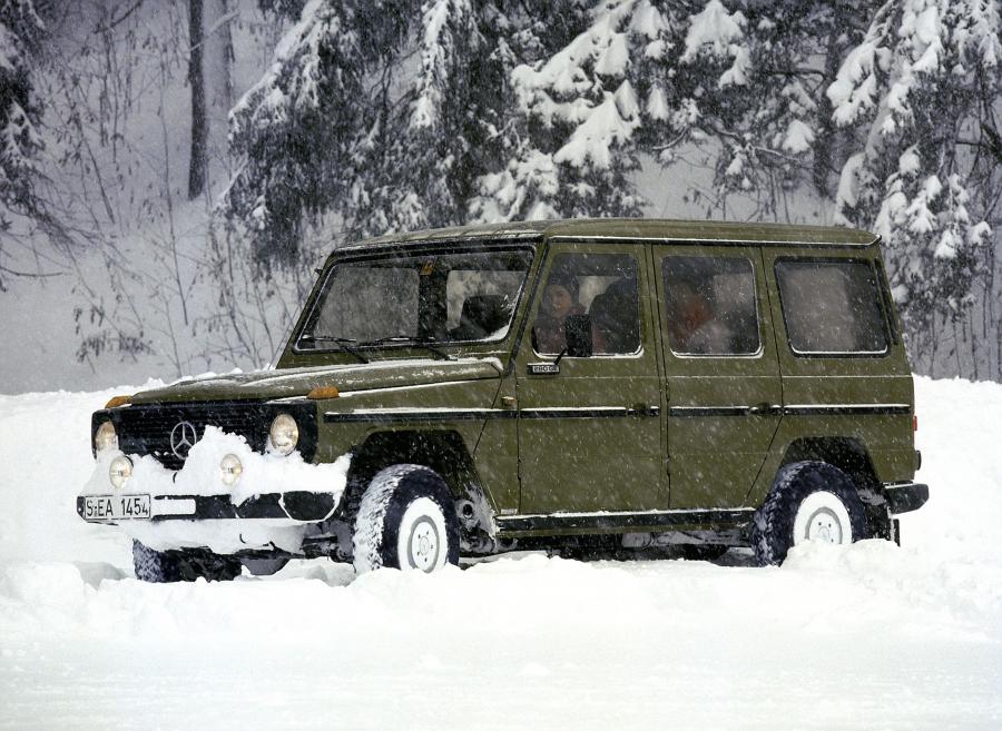  Mercedes-Benz 280 GE Station (Bm.460.331) 1979 года  (фото 20 из 20)